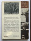 Bamse Brakar (Edvard Elsrud) thumbnail