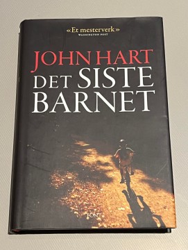 Det siste barnet (John Hart)