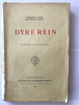 Dyre Rein (Jonas Lie)