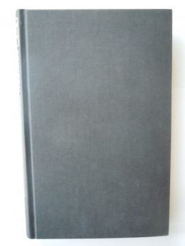 Spikern (Simon Flem Devold)