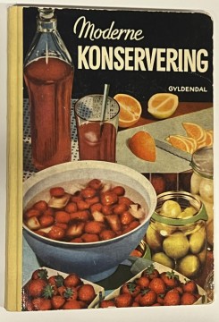 Moderne konservering (Elsebeth Kleppa)