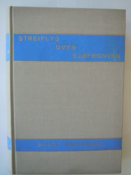 Streiflys over sjøfronten (Diderik Brochmann)