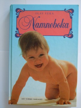 Namneboka (Olav Veka)
