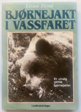 Bjørnejakt i vassfaret (Edvard Elsrud)