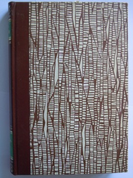 Stormkake (John Giæver)