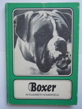 Boxer (Elizabeth Somerfield)