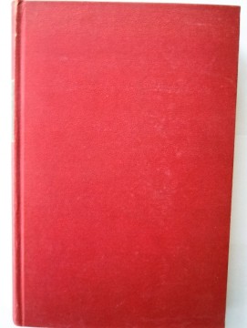 Verdenskrigen 1914 - 1918 (Oberst Gudmund Schnitler)