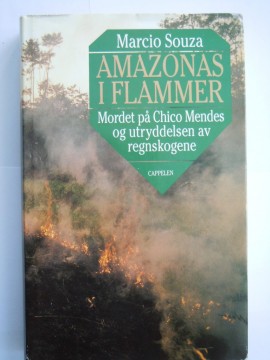 Amazonas i flammer (Marcio Souza)