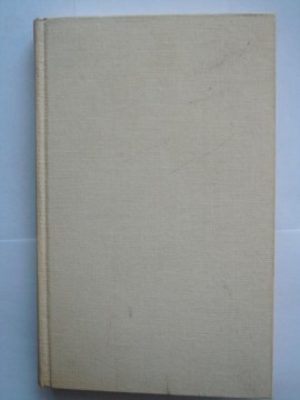 Dagbok i Galilea (Shin Shalom)