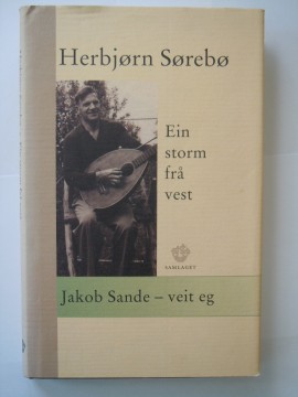 Ein storm frå vest (Herbjørn Sørebø)