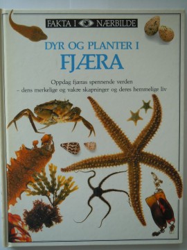 Dyr og planter i FJÆRA (Steve Parker)