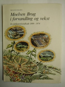 Moelven Brug i forvandling og vekst (Trygve Dalseg)