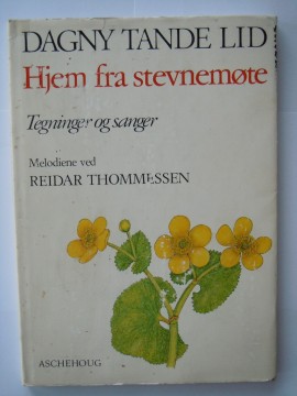 Hjem fra stevnemøte (Dagny Tande Lid)